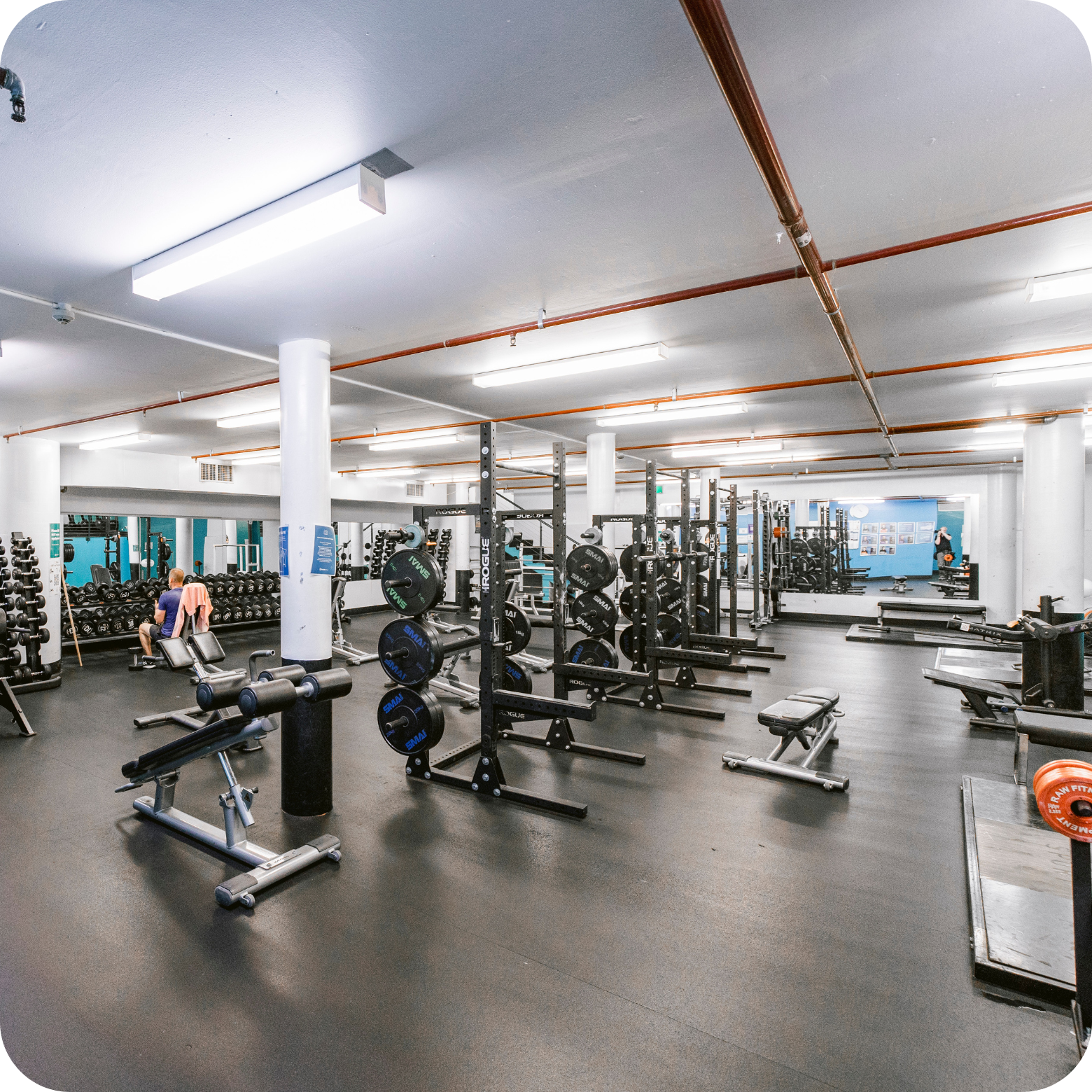 Weights Zone at ActivateFit.Gym